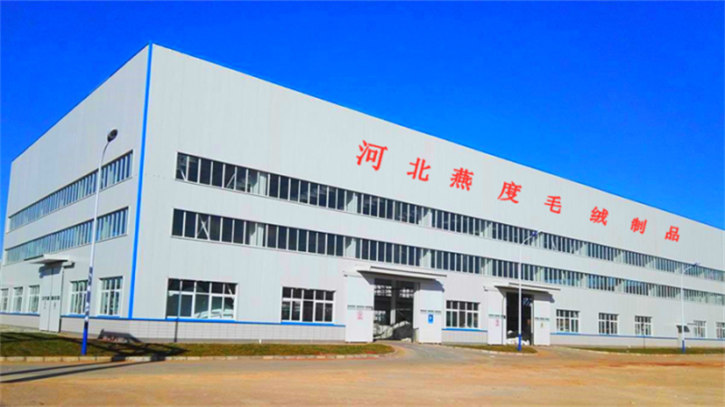 Hebei Yandu Plush Products Co., Ltd.-Speech by Chairman Du Hongyin